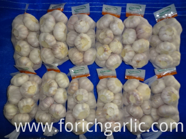 Normal White Garlic 2019 Jinxiang